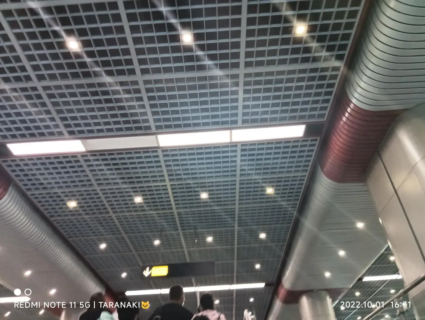 仰头拍天花板是吧